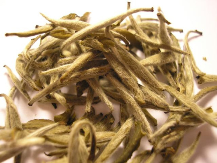 Thé blanc - Yin Zhen